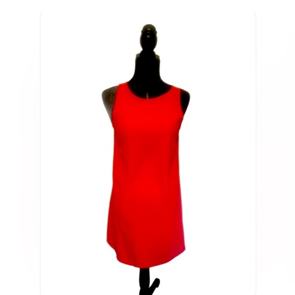 Zadig & Voltaire Deluxe pink Raff Minj Dress- Small - Picture 1 of 4